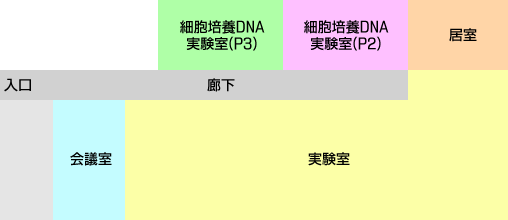 創薬研究センター配置図 創薬研究センター配置図