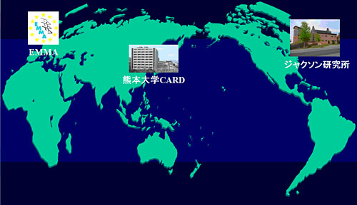 図1 世界のマウスバンク 図1 世界のマウスバンク