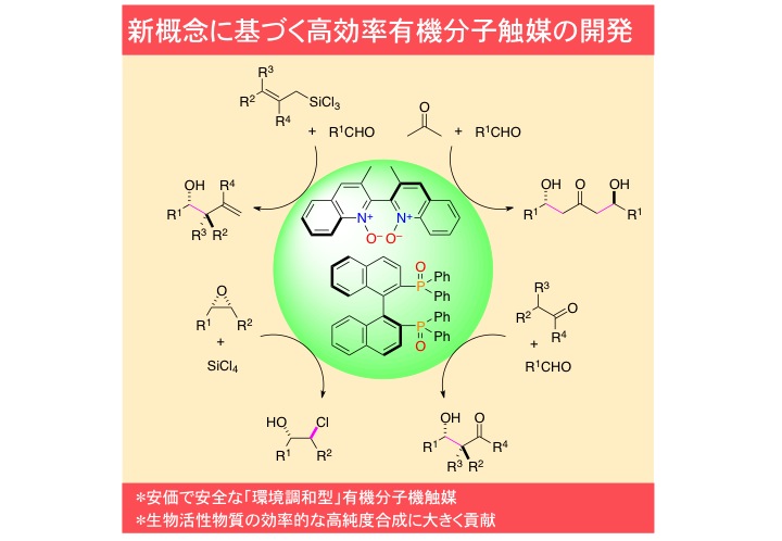 研究内容.jpg