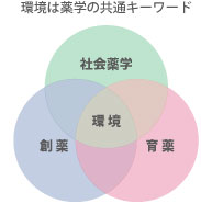 環境は薬学の共通キーワード