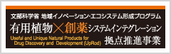 有用植物×創薬システムインテグレーション拠点推進事業