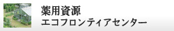 薬用資源エコフロンティアセンター