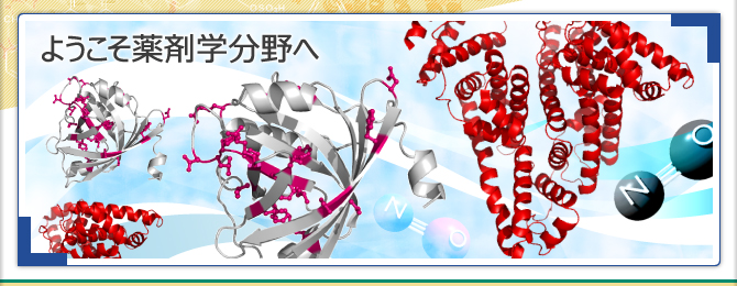 熊本大学薬学部 薬剤学分野