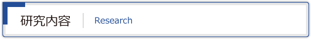 研究内容