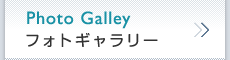 Photo Galley　フォトギャラリー