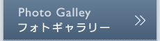 Photo Galley　フォトギャラリー