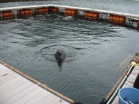 研究室旅行　壱岐にて