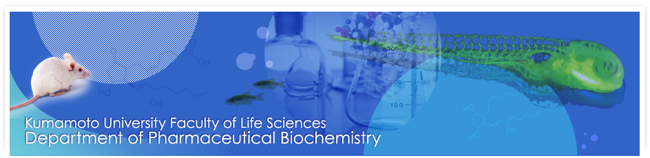 Kumamoto University Faculty of Life Sciences Department of Pharmaceutical Biochemistry