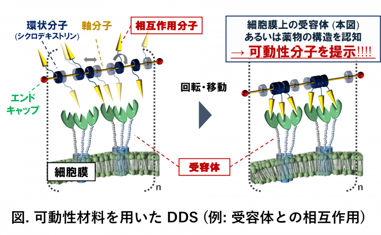 HP図.png