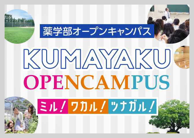 薬学部オープンキャンパス KUMAYAKU OPENCAMPUS