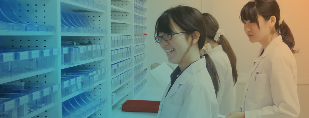 6年制コース 薬学科
