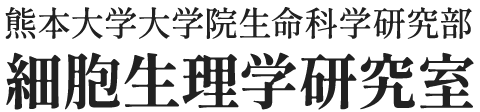 熊本大学大学院生命科学研究部　細胞生理学研究室