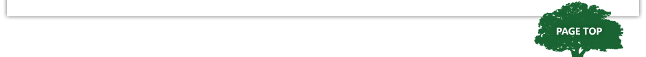 pagetop