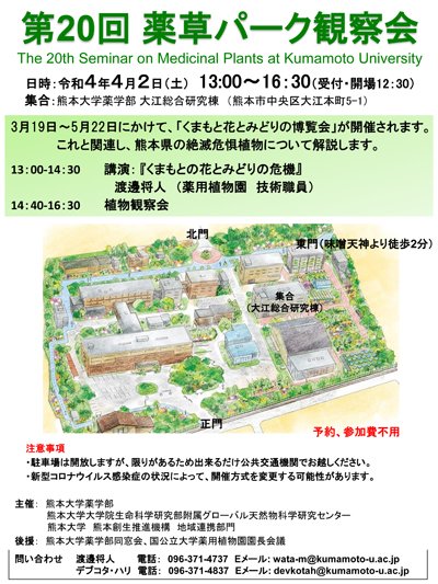 第19回 薬草パーク観察会