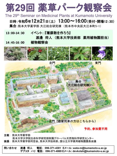 第29回 薬草パーク観察会
