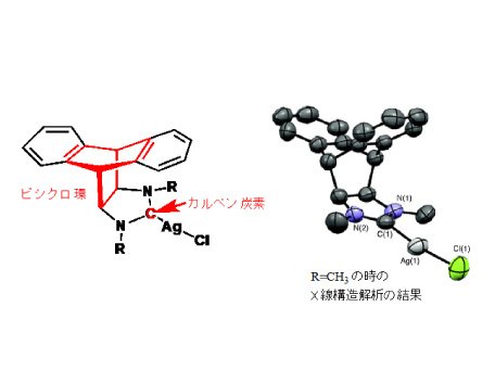 創薬基盤分子設計学