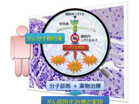 薬剤部・臨床薬物動態学