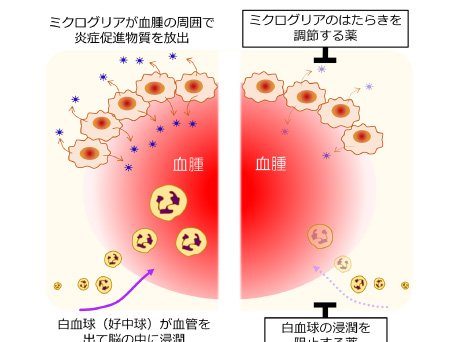 薬物活性学