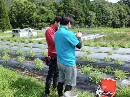 薬用植物学