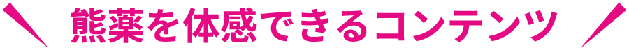 熊薬を体感できるコンテンツ