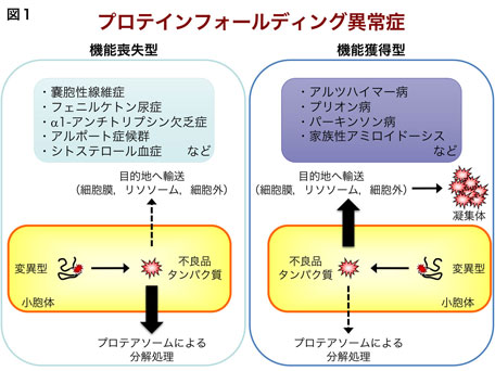 遺伝子機能応用学