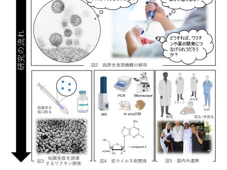 環境分子保健学