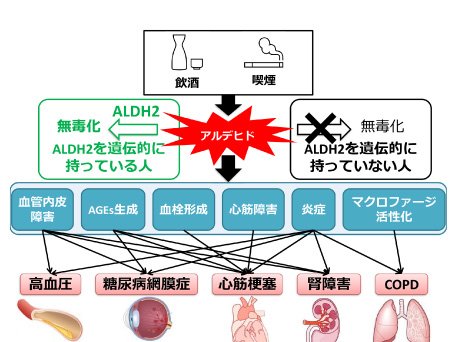 薬物治療学