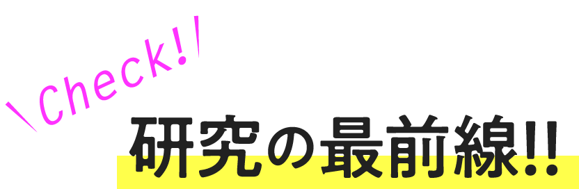 研究の最前線！！