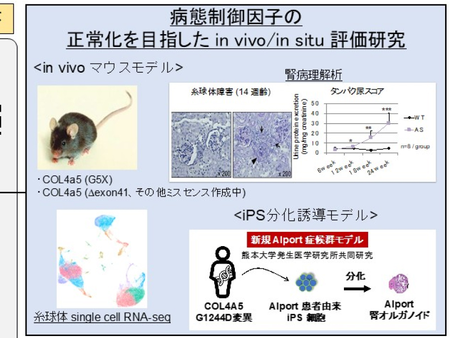 遺伝子機能応用学分野