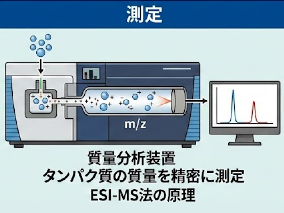 医療情報薬学分野