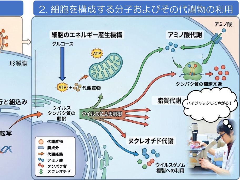 環境分子保健学分野
