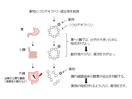 製剤設計学分野