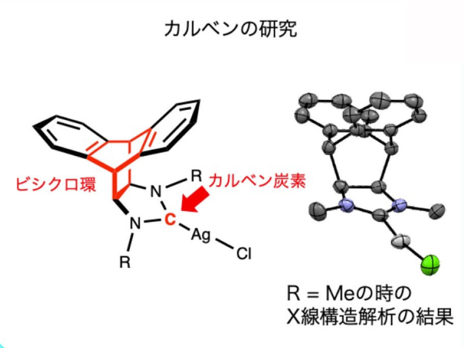 創薬基盤分子設計学分野