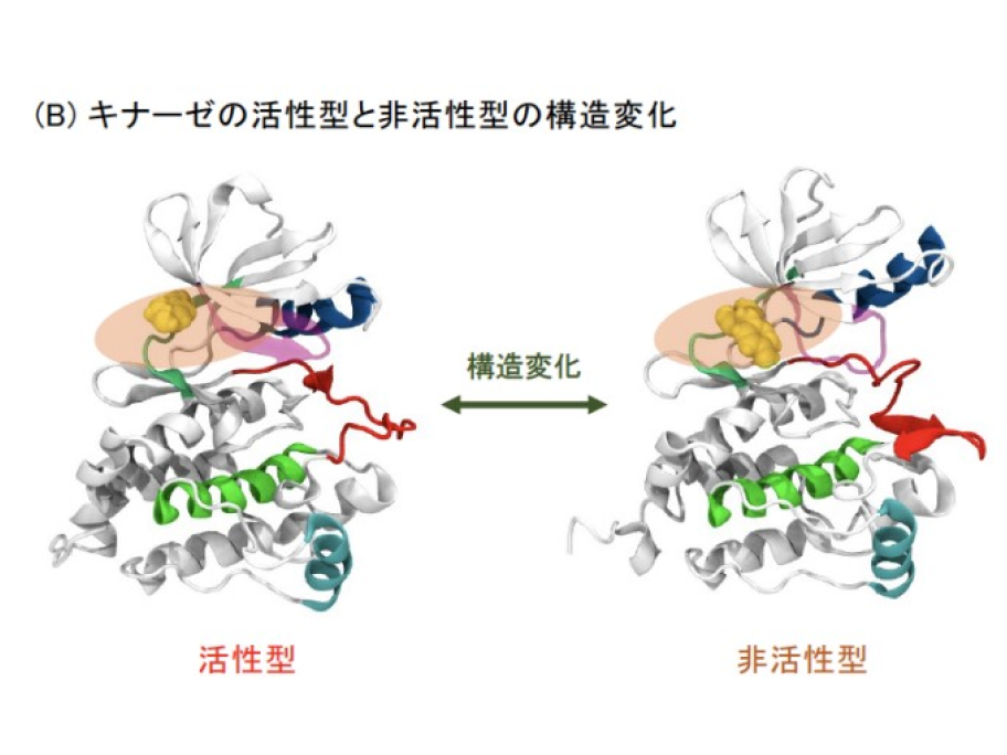 創薬データサイエンス分野