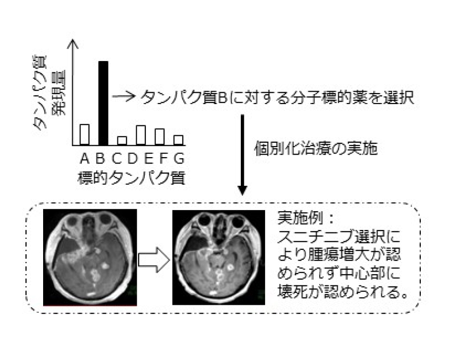 微生物薬学分野