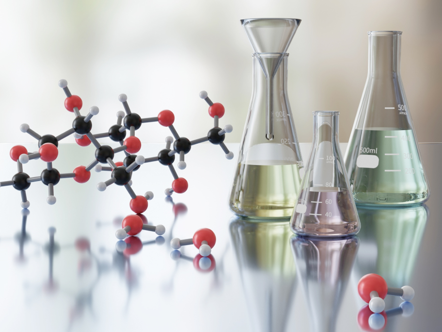 分子薬化学分野
