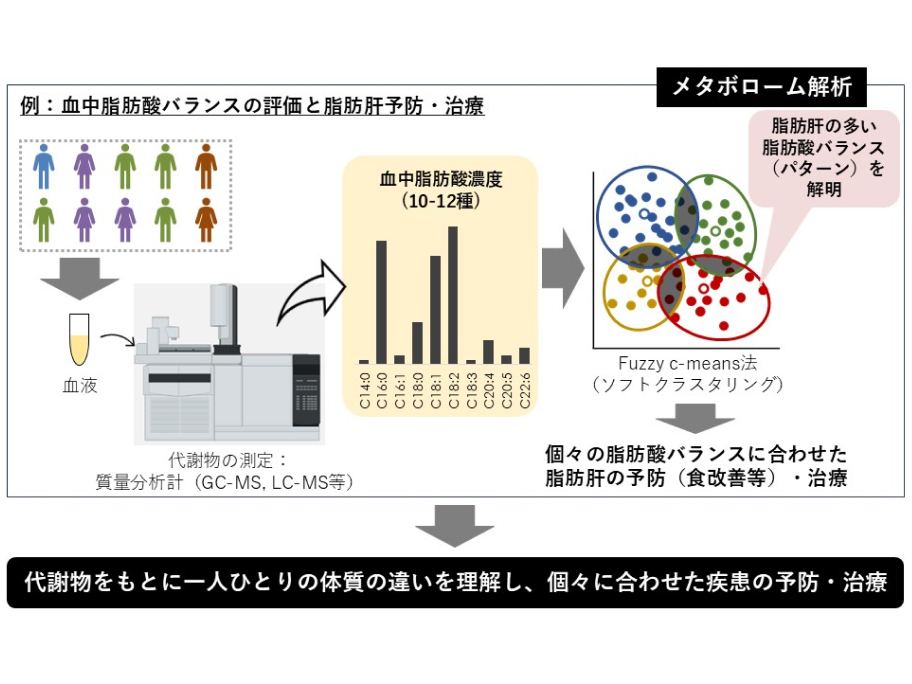 薬物治療学分野