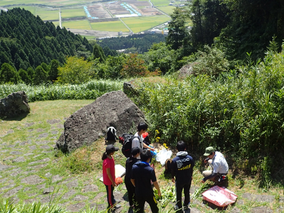 薬用植物学分野