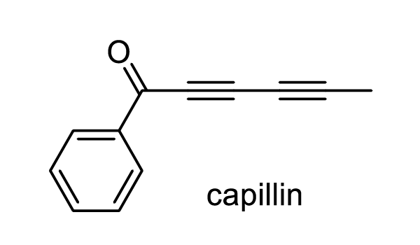 カワラヨモギ 化学構造式1
