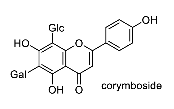 コムギ 化学構造式1