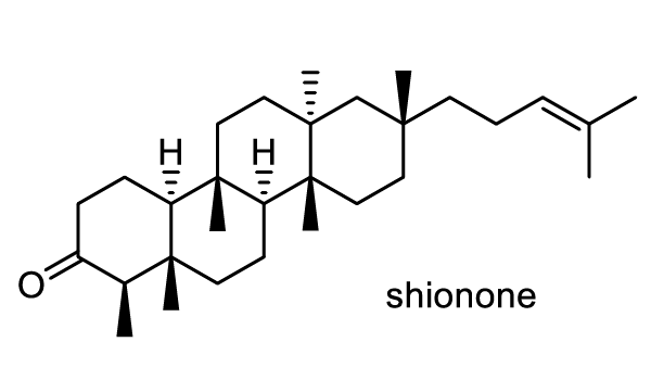 シオン 化学構造式1