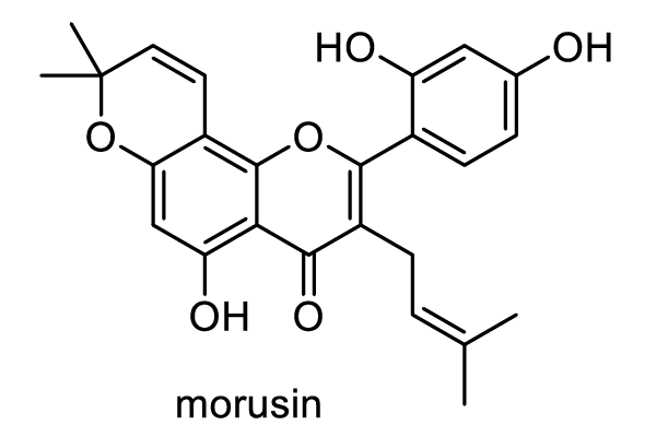 マグワ