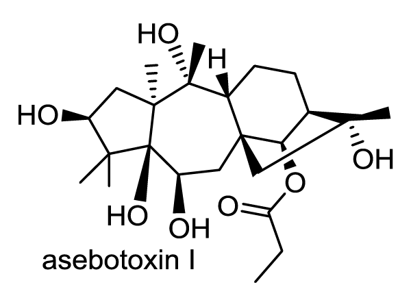 アセビ 化学構造式1