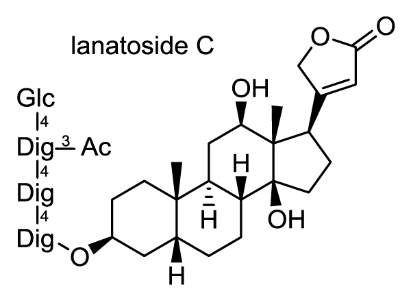 ケジギタリス 化学構造式1