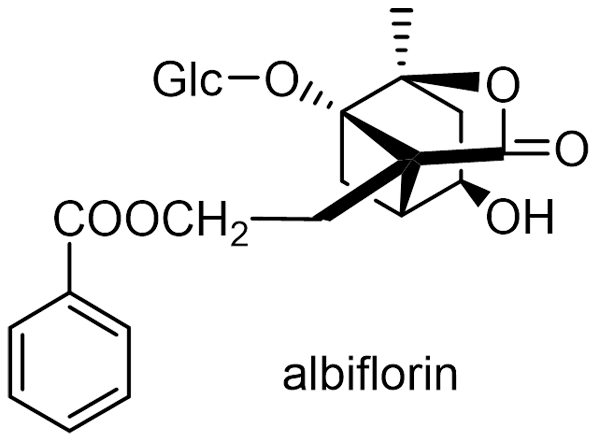 シャクヤク 化学構造式2