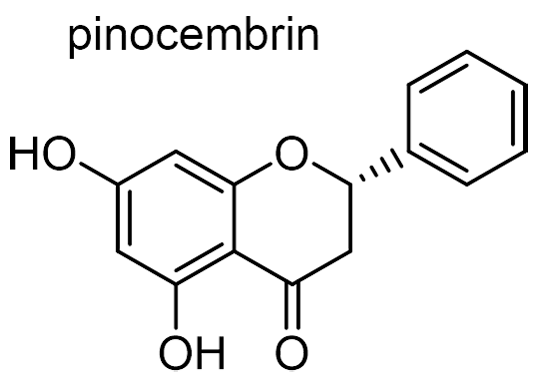 タコノアシ 化学構造式2