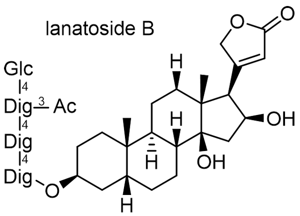 ケジギタリス 化学構造式3