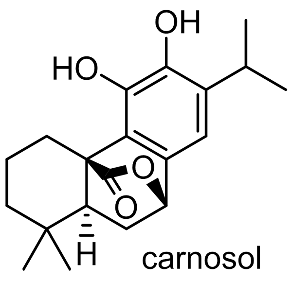 ローズマリー 化学構造式2