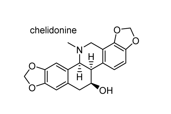 クサノオウ 化学構造式1
