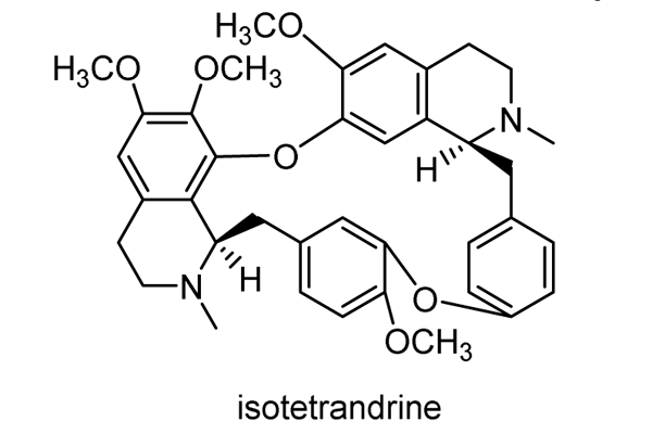 タマザキツヅラフジ 化学構造式2